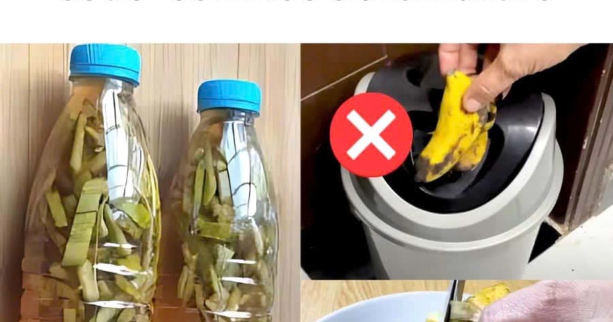 Si vous les utilisez comme ça, vous ne le jetterez plus jamais les peaux de banane
