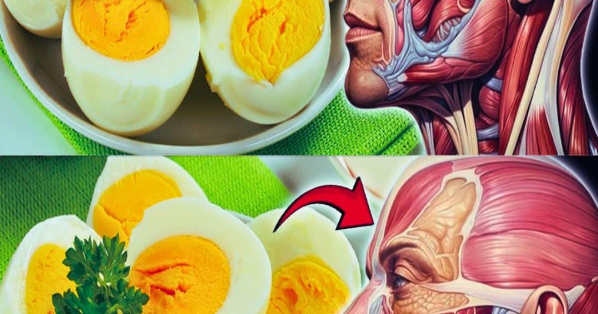 Si vous mangez 3 œufs entiers par jour, vous serez surpris de ce que cela fait à votre corps