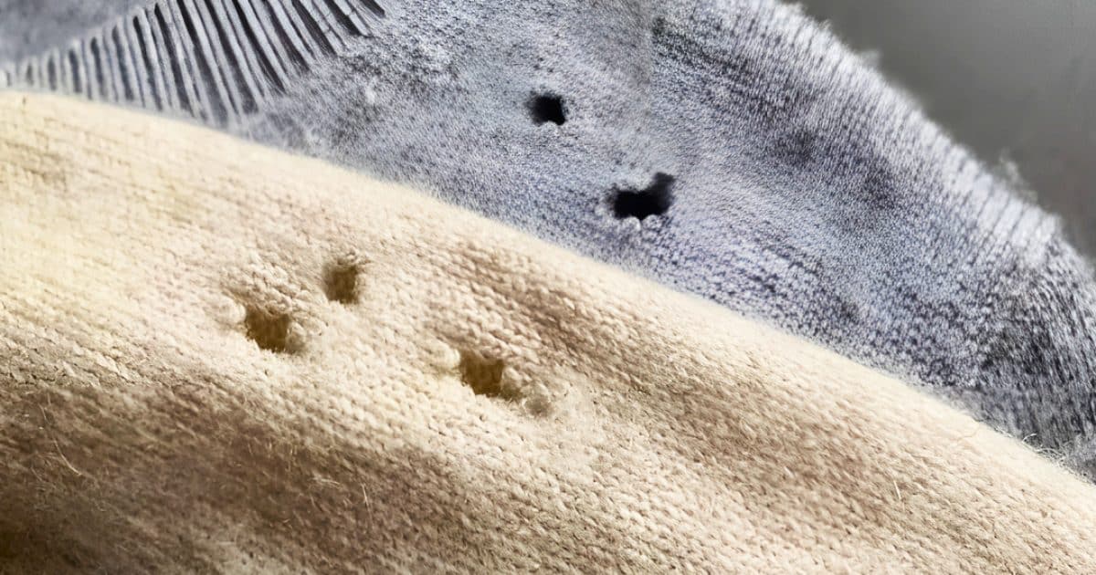 Si vous trouvez ces trous dans vos vêtements, vous feriez mieux de savoir ce qu'ils signifient.