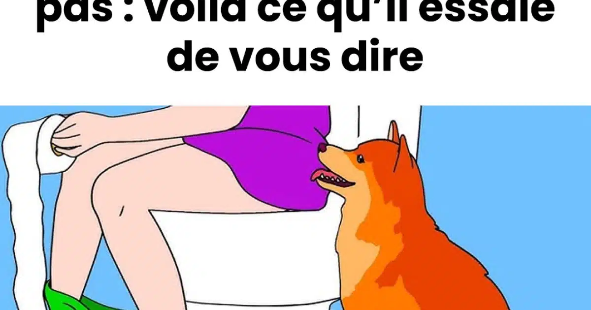 S’il vous accompagne même aux toilettes, ne l’ignorez pas : votre chien tente de vous faire passer un message