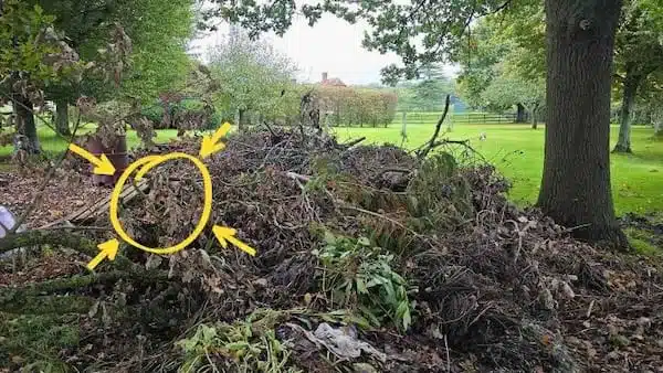 Image révélant la solution avec le chien entouré