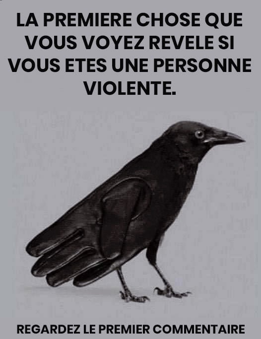 Test psychologique : que voyez-vous sur l’image — un corbeau ou un gant ?