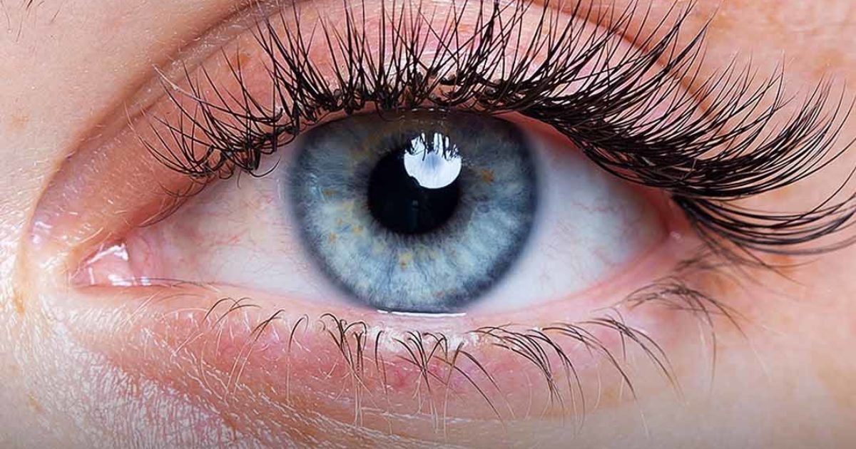 Toutes les personnes aux yeux bleus ont une chose en commun