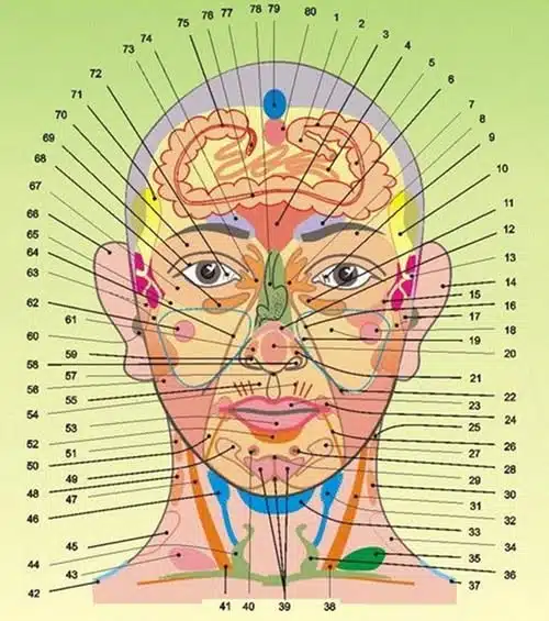 Toutes nos maladies sont inscrites sur notre visage