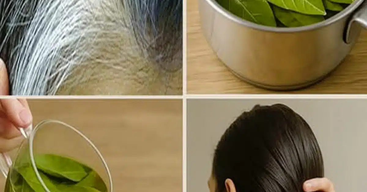 Transformez vos cheveux blancs en noirs naturellement