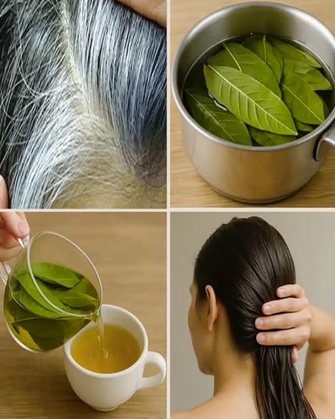 Transformez vos cheveux blancs en noirs naturellement