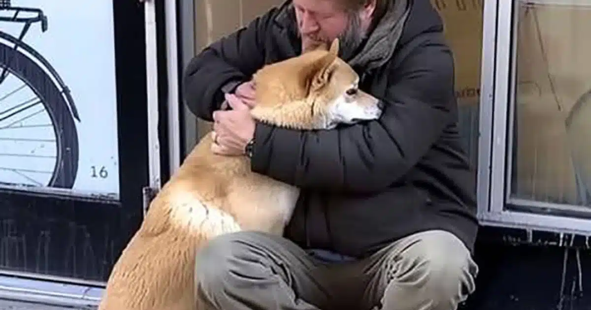 Un chien va chaque jour devant un magasin fermé puis repart, un soir un pauvre garçon le remarque et le suit
