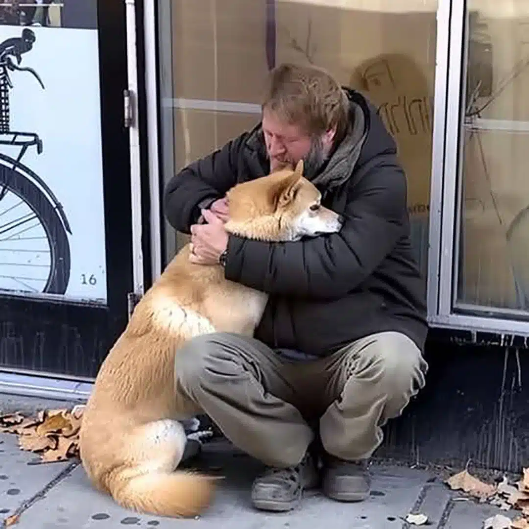 Un chien va chaque jour devant un magasin fermé puis repart, un soir un pauvre garçon le remarque et le suit