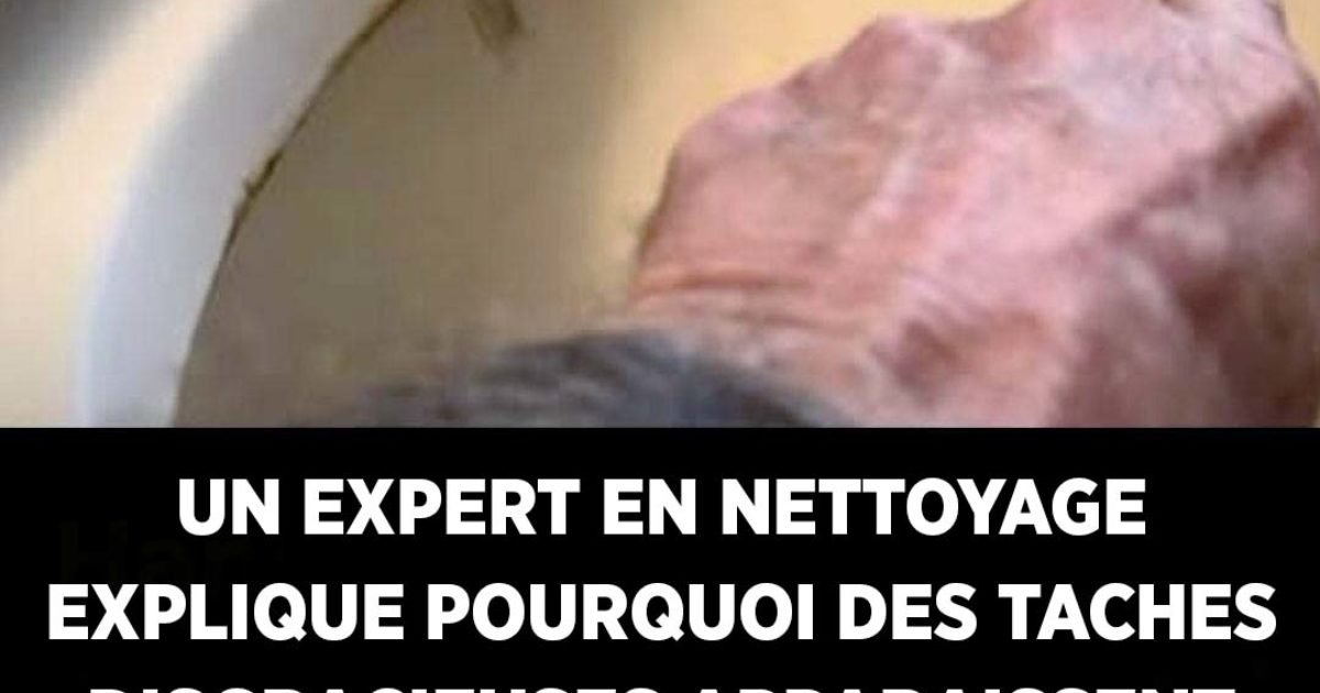 Un expert révèle la cause des taches tenaces dans les toilettes et leur élimination