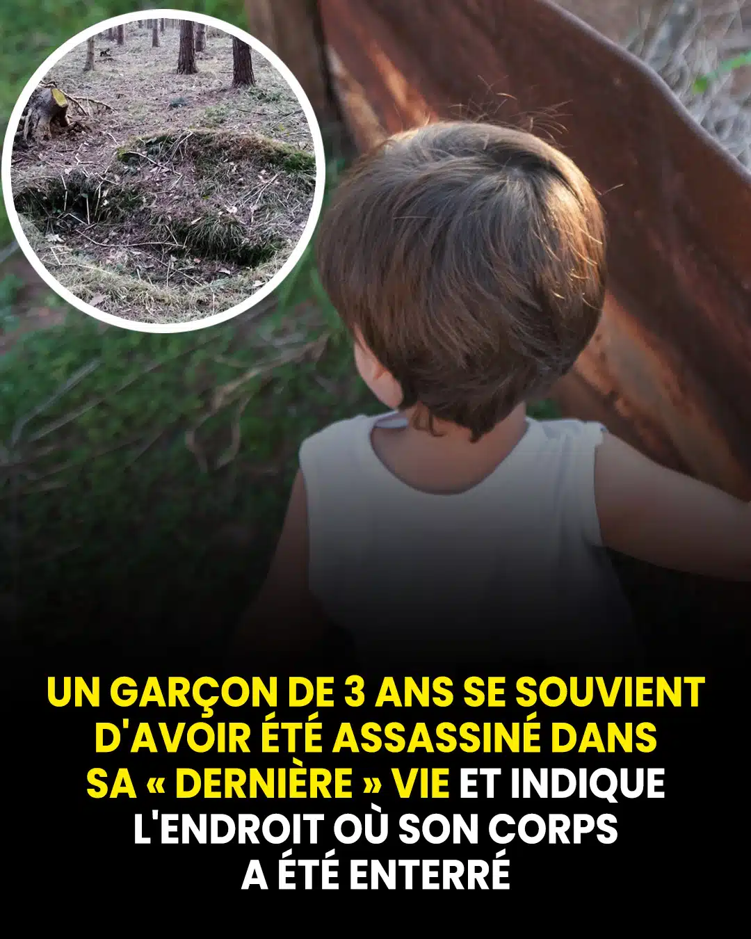 Un garçon de 3 ans se souvient d'avoir été assassiné dans sa « dernière » vie et indique l'endroit où son corps a été enterré.