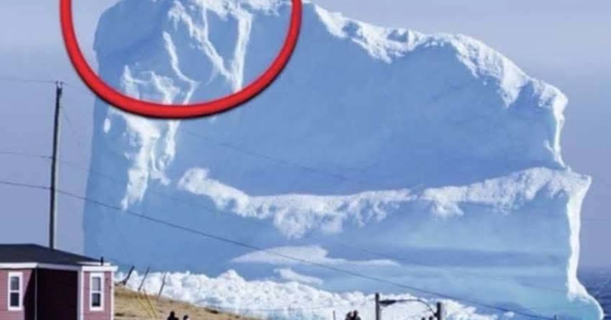 Un iceberg dérive près d’un village, mais ce qu’il transporte sur sa surface terrifie les habitants…