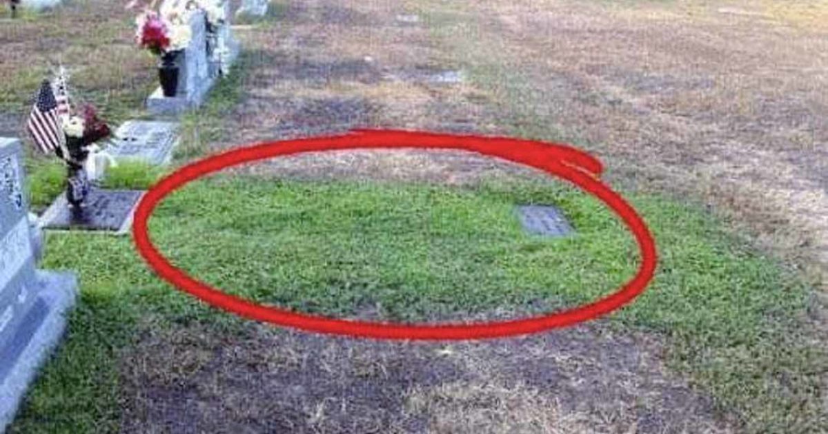 Un inconnu visite secrètement la tombe d'un soldat, quand sa mère découvre « pourquoi » elle va à sa recherche