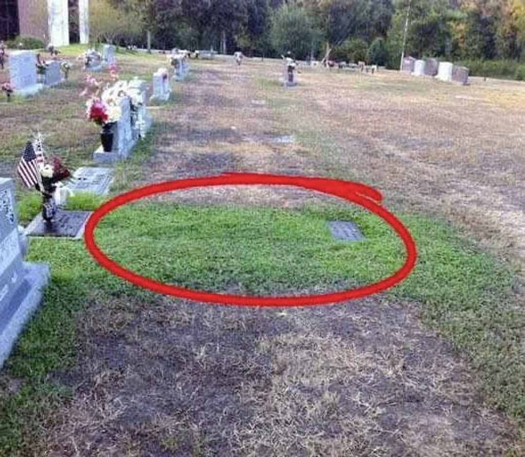 Un inconnu visite secrètement la tombe d'un soldat, quand sa mère découvre « pourquoi » elle va à sa recherche