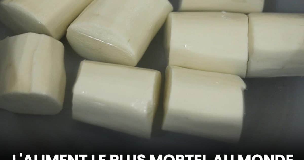 Un légume vital… et potentiellement létal : l’étonnant paradoxe de cet aliment