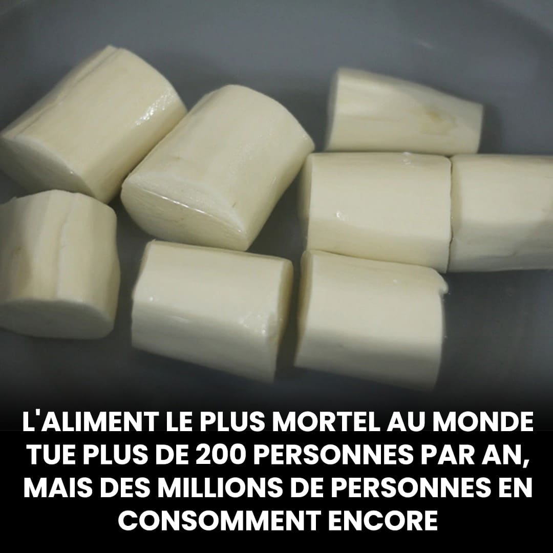 Un légume vital… et potentiellement létal : l’étonnant paradoxe de cet aliment