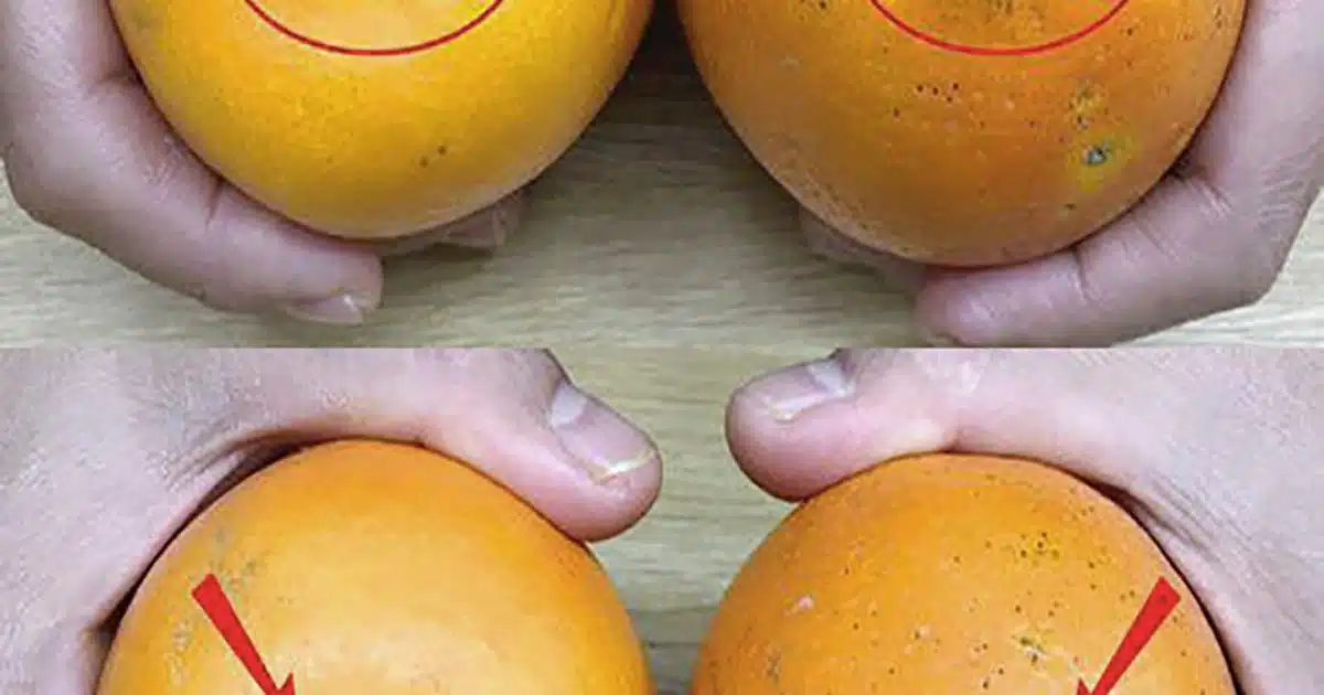 Un primeur expérimenté vous apprend à choisir des oranges délicieuses, sucrées et juteuses