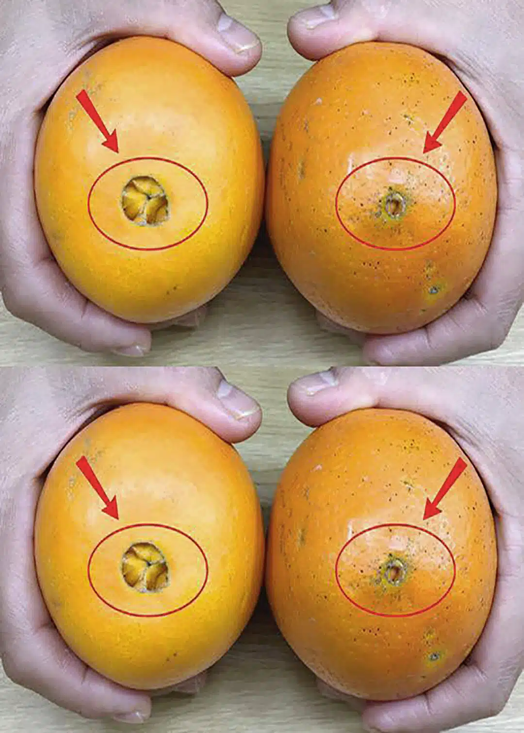 Un primeur expérimenté vous apprend à choisir des oranges délicieuses, sucrées et juteuses