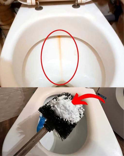 Une astuce pour faire briller les toilettes