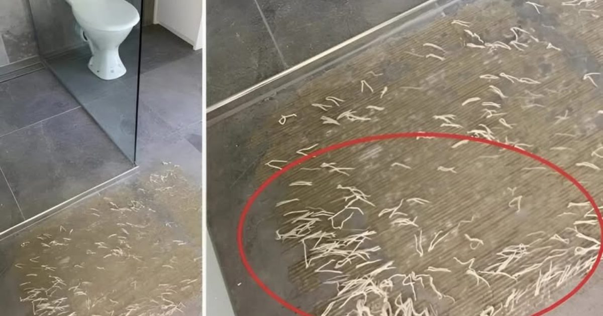 Une découverte étrange dans la salle de bain