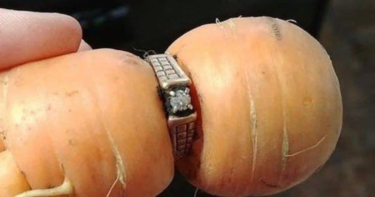 Une femme retrouve sa bague de fiançailles perdue 13 ans plus tard… autour d’une carotte.