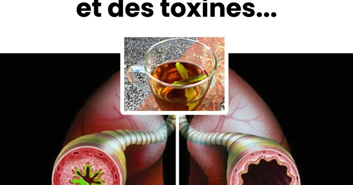 Une infusion pour nettoyer vos poumons des mucosités et des toxines