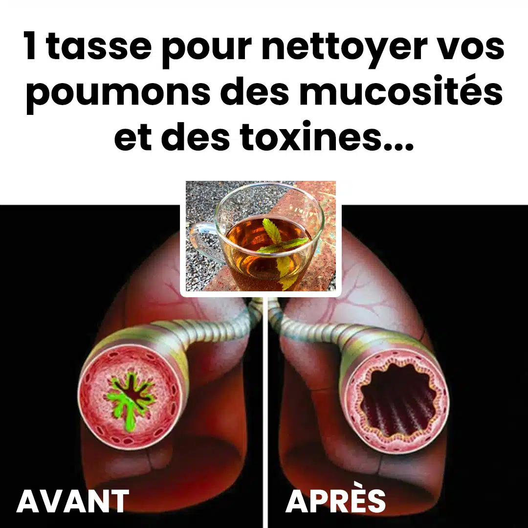 Une infusion pour nettoyer vos poumons des mucosités et des toxines