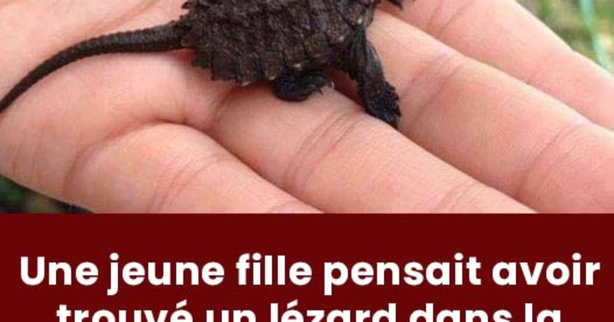 Une jeune fille pensait avoir trouvé un lézard. Lorsque le vétérinaire le voit, il n'en croit pas ses yeux