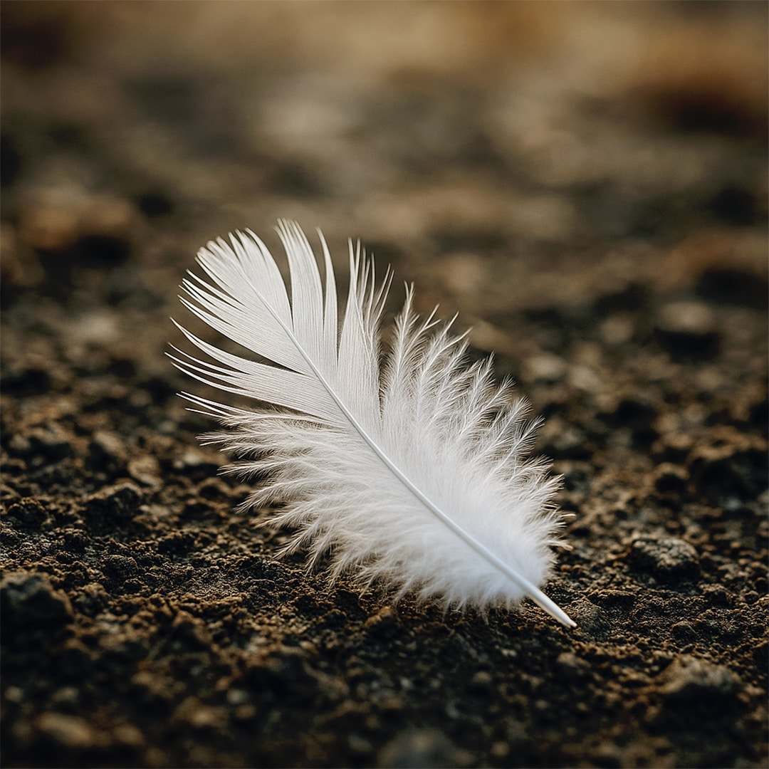 Une plume blanche sur votre chemin ? Ce n’est peut-être pas un hasard… Découvrez sa signification profonde