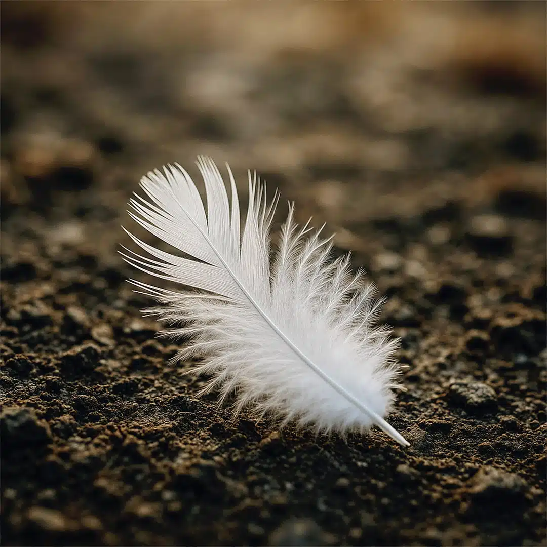 Une plume blanche sur votre chemin ? Ce n’est peut-être pas un hasard… Découvrez sa signification profonde