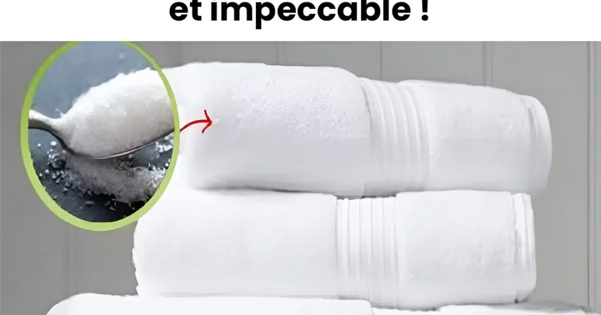 Une seule cuillère à soupe dans la machine à laver suffit pour un linge blanc et impeccable