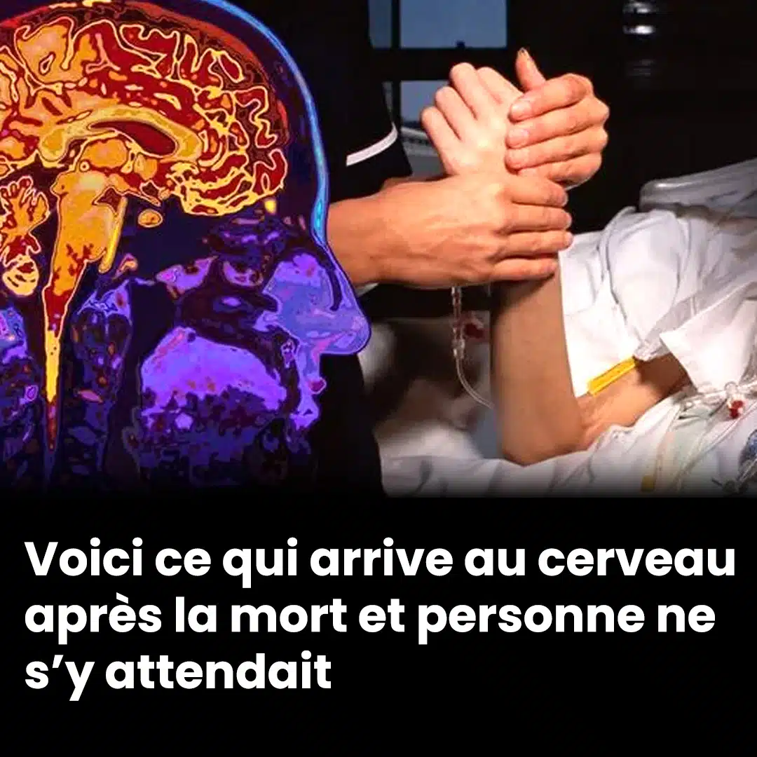 Une simulation époustouflante montre ce qui arrive à notre cerveau dans les 10 minutes après la mort