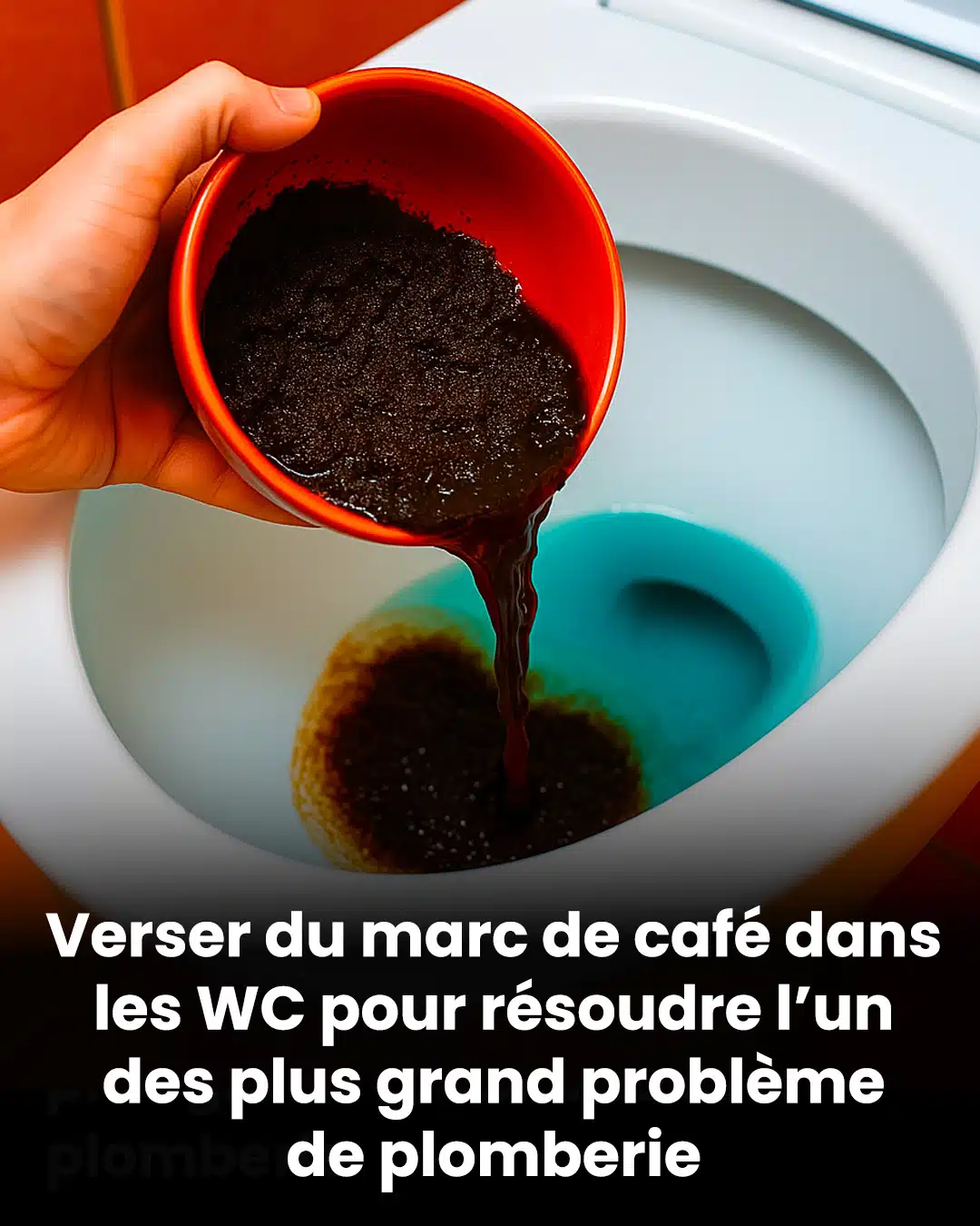 Verser du marc de café dans les WC pour résoudre l’un des plus grand problème de plomberie