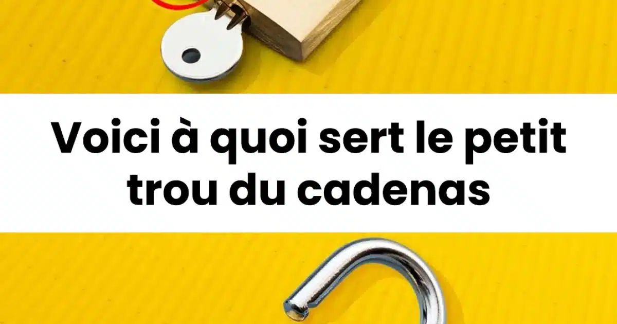 Voici à quoi sert le petit trou du cadenas
