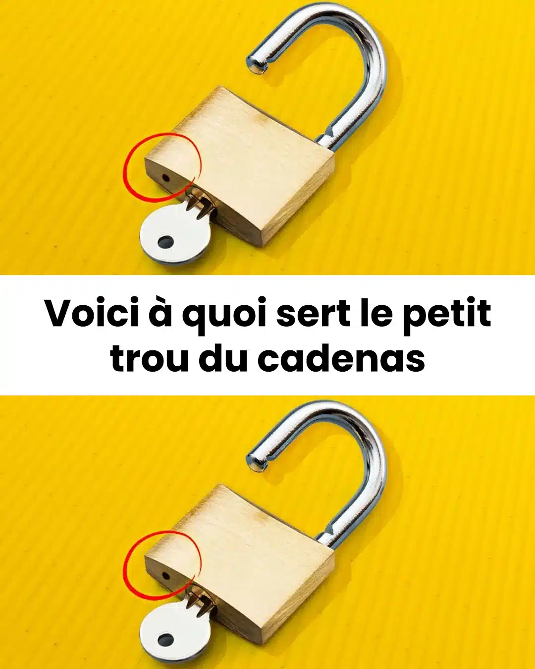 Voici à quoi sert le petit trou du cadenas