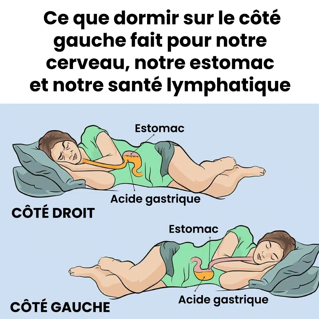 Voici ce que dormir sur le côté gauche fait pour notre cerveau, notre estomac et notre santé lymphatique