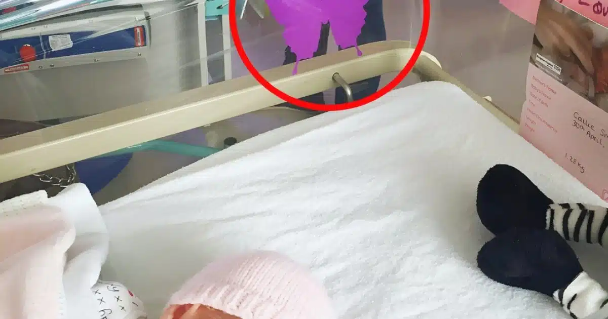 Voici ce que signifie réellement un papillon violet sur le berceau d’un bébé