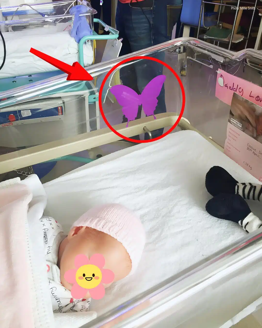 Voici ce que signifie réellement un papillon violet sur le berceau d’un bébé