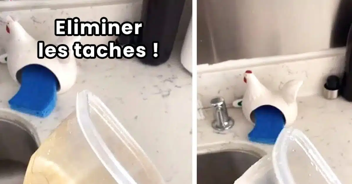 Voici comment éliminer les taches sur les boites en plastiques