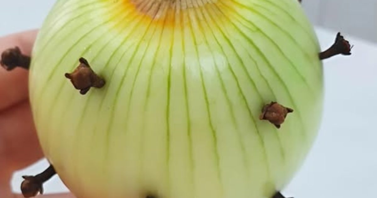 Voici pourquoi a grand-mère plante toujours des clous de girofle dans un oignon