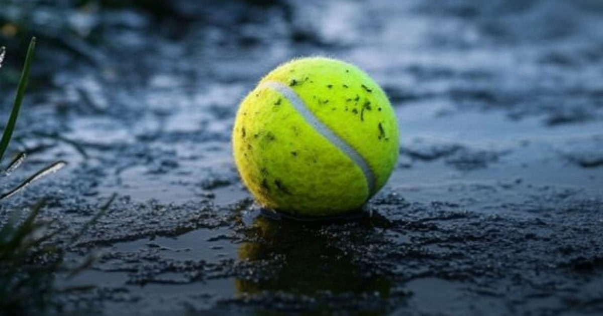 Voici pourquoi certaines personnes laissent des balles de tennis dans leur jardin en hiver