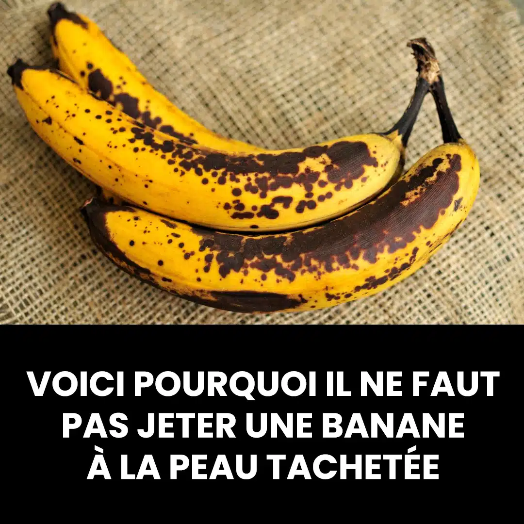 Voici pourquoi il ne faut pas jeter une banane à la peau tachetée