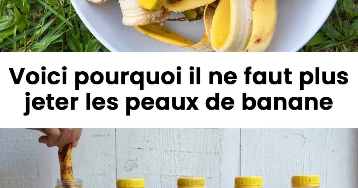 Voici pourquoi il ne faut plus jeter les peaux de banane