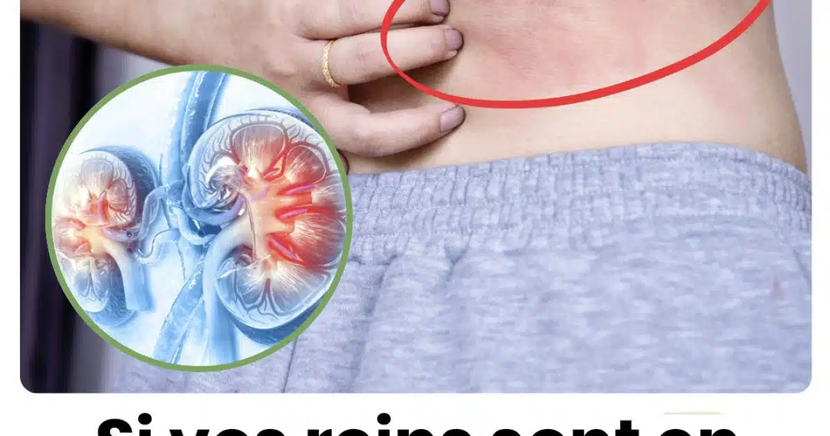 Votre corps vous enverra ces 10 signes si vos reins sont en danger