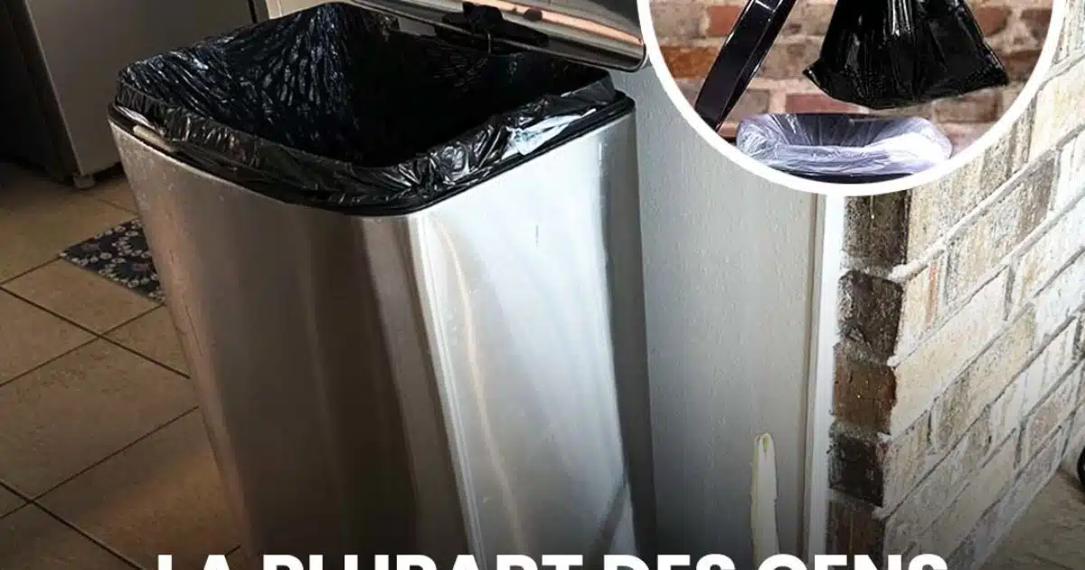 1 of 9,567 Vous avez toujours mal placé votre sac poubelle Inbox Story Sante Plus Sun, Feb 16, 7:35 PM (16 hours ago) to me, Ghita, Siham Vous avez toujours mal placé votre sac poubelle
