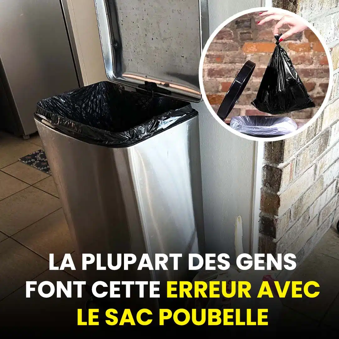 1 of 9,567 Vous avez toujours mal placé votre sac poubelle Inbox Story Sante Plus Sun, Feb 16, 7:35 PM (16 hours ago) to me, Ghita, Siham Vous avez toujours mal placé votre sac poubelle