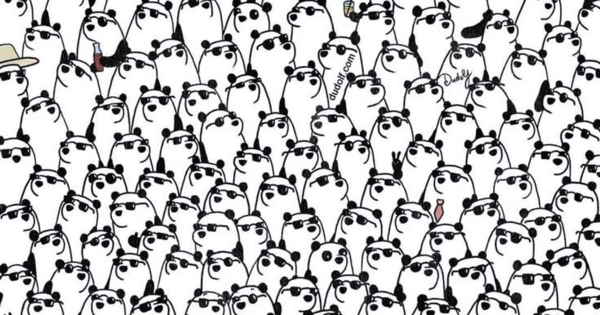 Vous avez un QI élevé si vous trouvez les trois pandas sans lunettes de soleil en 30 secondes.