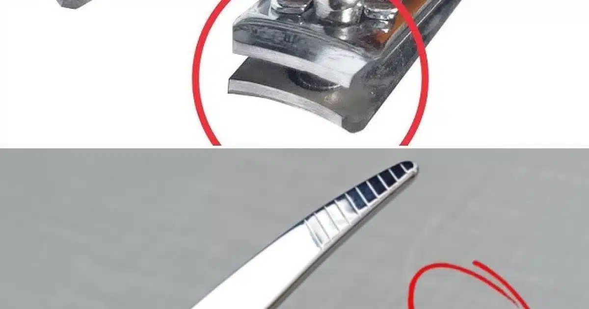 Vous ne jetterez plus jamais votre vieux coupe-ongles usé après avoir découvert cette astuce